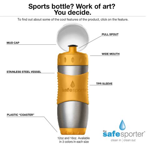 Another BPA-Free, Stainless Steel Water Bottle