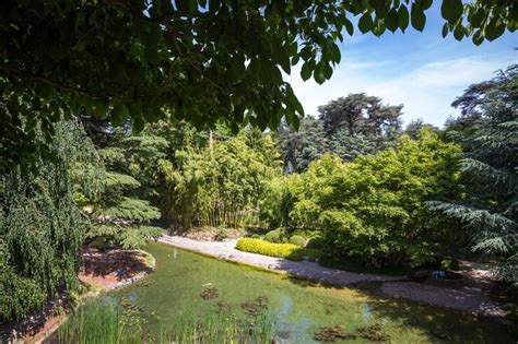 Premium Photo | Pond in a japanese garden