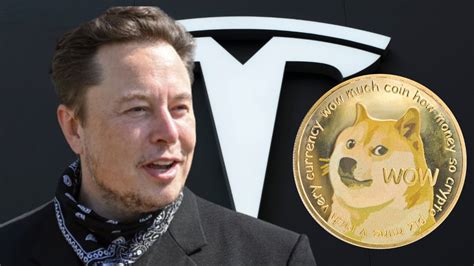 DOGE Soars After Musk Hints at Tesla Acceptance and Lunar Ambitions