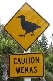 42 NEW ZEALAND ROAD SIGNS ideas | new zealand, road signs, signs