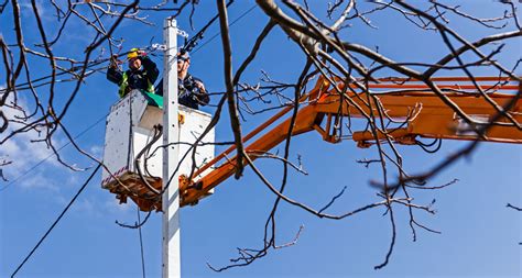 Apprenticeship - Power Line Clearance & Tree Trimming 2 - Washington Career Paths