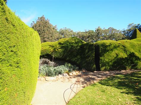 Ashcombe Maze in Autumn & Winter