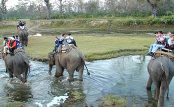 Jungle Safari in Nepal, Wildlife Safari in Nepal, Wildlife Reserves in ...