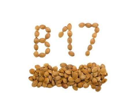 17 Insane Benefits of Apricot Seeds: The Ultimate Source of Vitamin B17 | Apricot Power