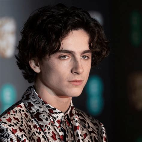 1920x1080px, 1080P Free download | Timothée Chalamet as Laurie in ...