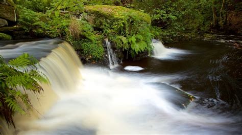 Rivelin Valley Nature Trail Tours - Book Now | Expedia