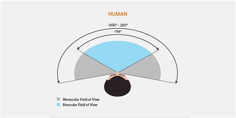 iNFINITE | VR Field of View measured and explained