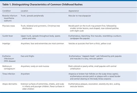 Common Skin Rashes In Children 2023 | NBKomputer