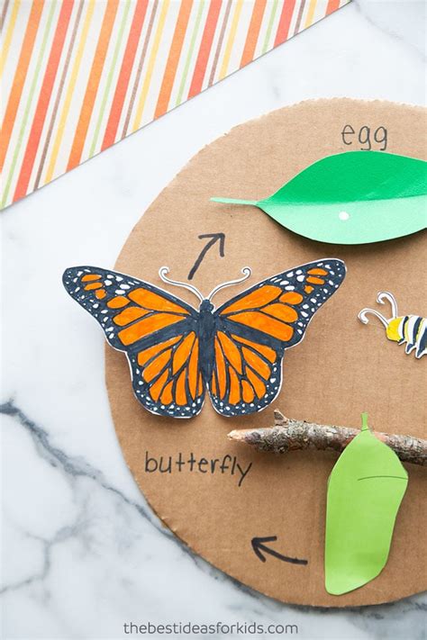 Butterfly Life Cycle Craft (with free template) - The Best Ideas for Kids