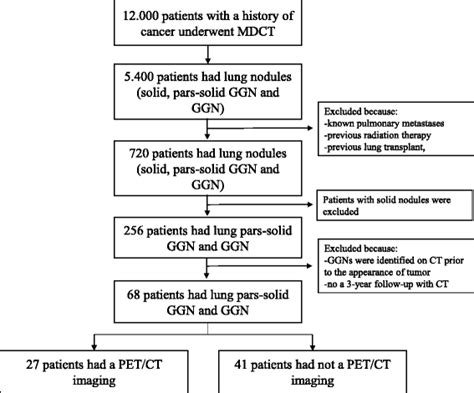 Ground glass pulmonary nodules: their significance in oncology patients and the role of computer ...