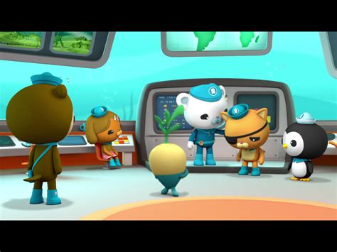 Barnacles Still Cares About Kwazii | Octonauts, Kwazii, Disney plus