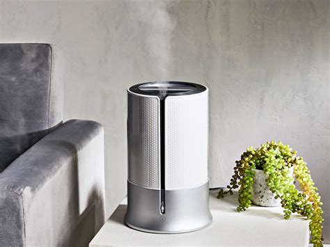 The 11 Best Humidifiers for Plants of 2023, Tested and Reviewed