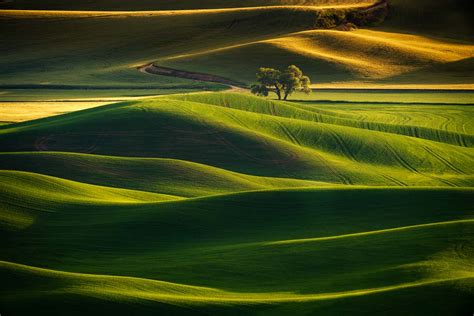 Palouse Photography Workshop Summer 2024