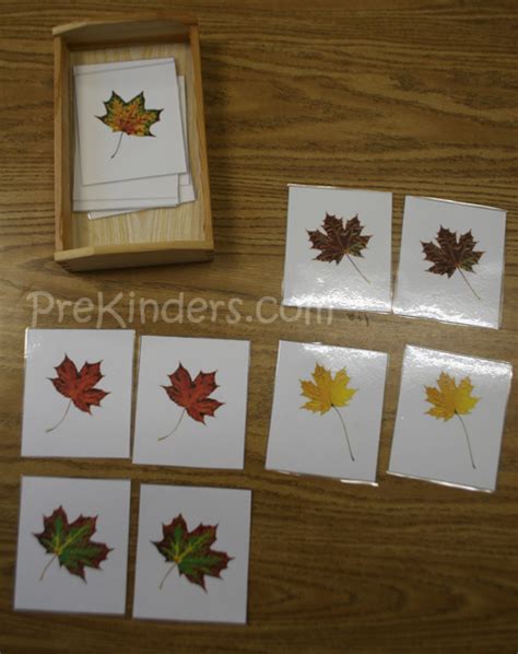 Leaf Matching - PreKinders