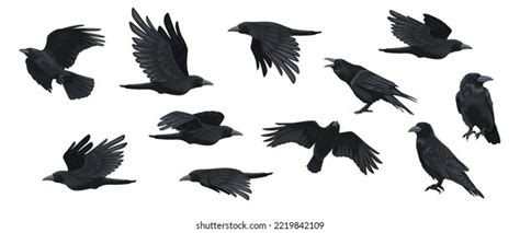 Raven Set Black Crow Silhouettes Blackbird Stock Vector (Royalty Free ...