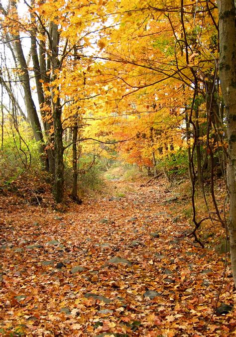 Cedar Ridge Preserve | New Jersey Trails Association