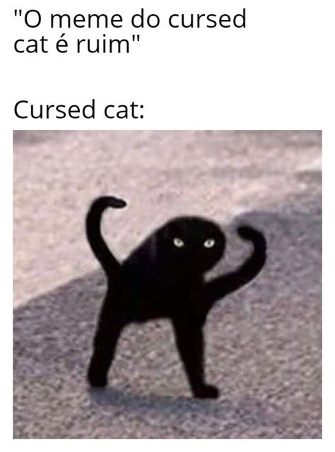 Cursed Cat Meme Video - img-omnom