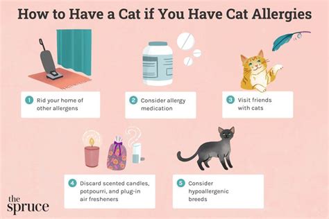 How to Have a Cat If You Have Cat Allergies