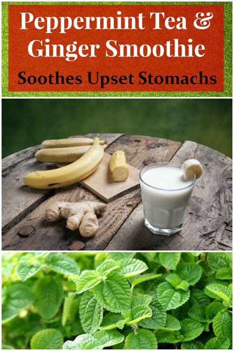 Upset Stomach Soothing Smoothie - All Nutribullet Recipes