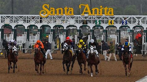 Horse collapses, dies during race at Santa Anita