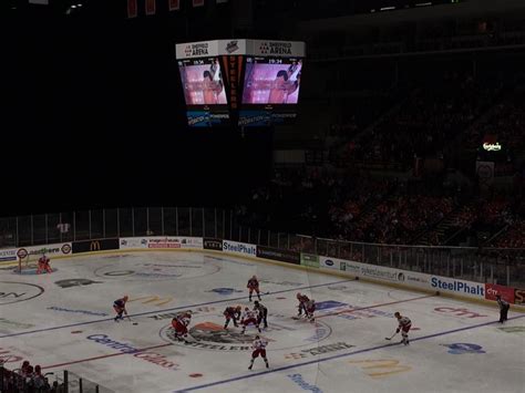 Sheffield Steelers 3-5 Cardiff Devils – Ice Hockey Challenge Cup ...