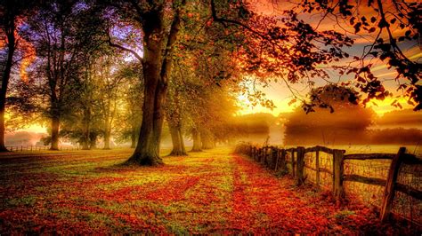 Coucher de soleil sur une forêt en automne | Autumn scenery, Autumn landscape, Scenery