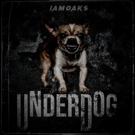 Underdog Song Download: Underdog MP3 Song Online Free on Gaana.com