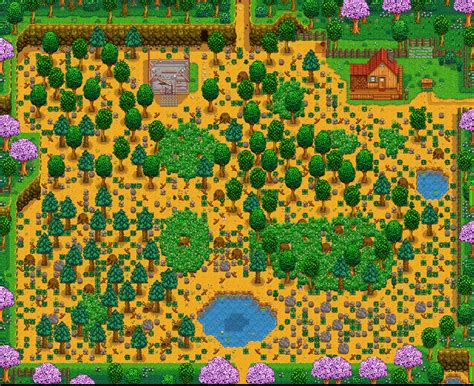 The 9 Best Stardew Valley Farm Layouts to Try (2024)