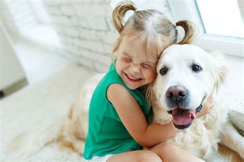 6 Kid-Friendly Dog Breeds - Petland Florida | Friendly dog breeds, Dog breeds, Child friendly dogs