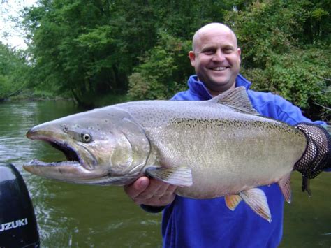 Michigan Salmon Fly Fishing Reports Archives - Michigan Fly Fishing ...