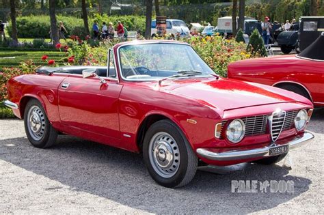 1966 Alfa Romeo Giulia GTC (front view) | 1960s | Paledog Photo Collection