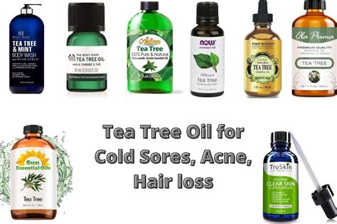 8 Best Tea Tree Oil for Cold Sores in USA 2023