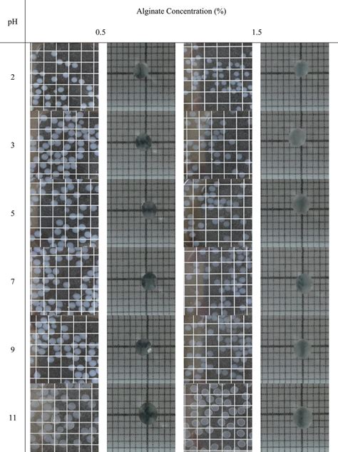 Visual appearance of alginate beads depending on pH (2–11). Black grid ...