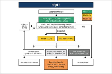 Echocardiography in Heart Failure with Preserved Ejection Fraction: From Primary Care to ...