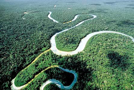 noticia local: Amazonas es el río más largo del mundo