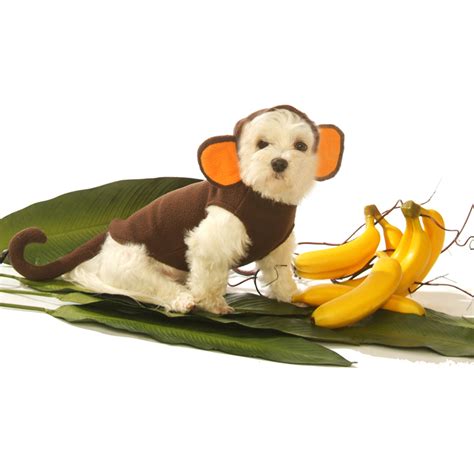 Monkey Dog Costume by Doggie Design | BaxterBoo