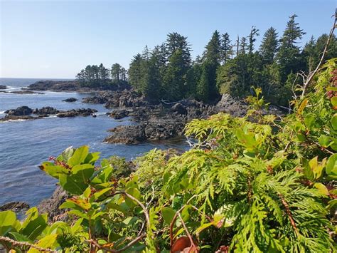 Pacific Rim National Park Reserve - West Coast Trail Unit