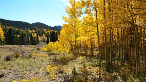 10 Fantastic Fall Activities in Colorado