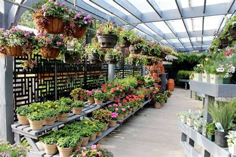 15 Best Florists & Flower Delivery Options in Stamford CT - Petal Republic