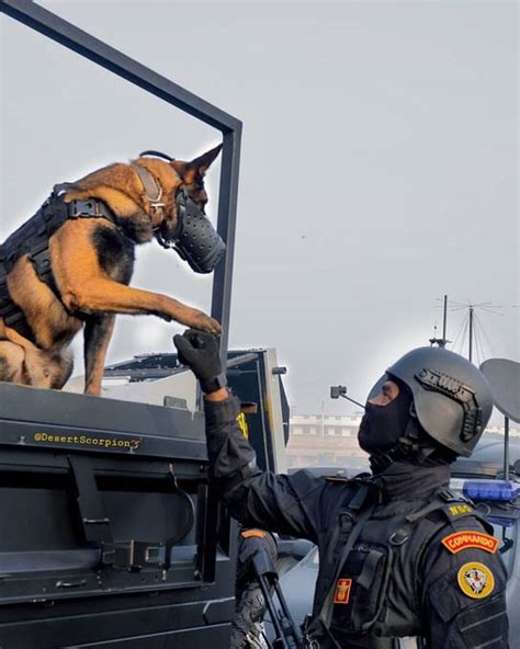 NSG Commando fist-bumping with his Fur Missile 🐕🐕🐕 : r/IndianDefense