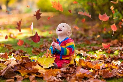 Child in Fall Park. Kid with Autumn Leaves. Stock Image - Image of ...