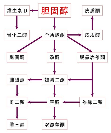 胆固醇！再来一碗胆固醇！ - 知乎