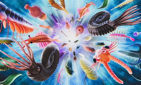 What Is the Cambrian Explosion, and Why Does It Matter? - A-Z Animals