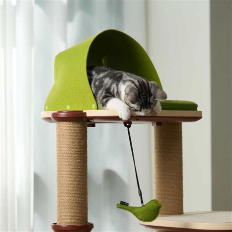 Cat Trees for Small Apartments: Compact & Space-Saving Options! – PETLIBRO