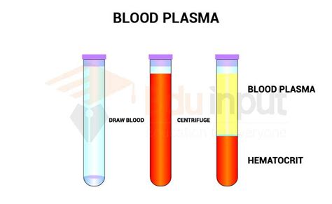 Blood Plasma Composition