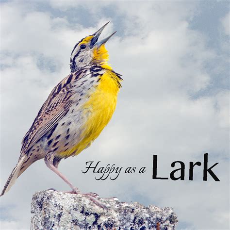 A Smile Maker: happy as a lark