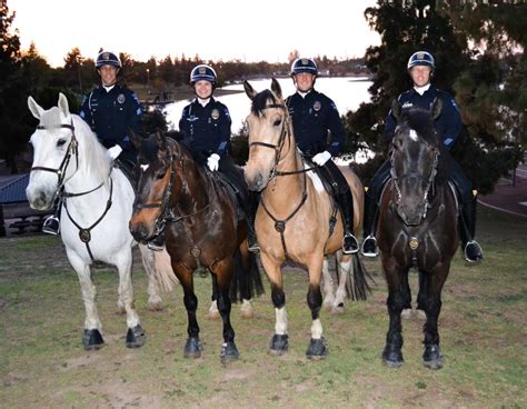 Tempe Police Department Mounted Unit | City of Tempe, AZ