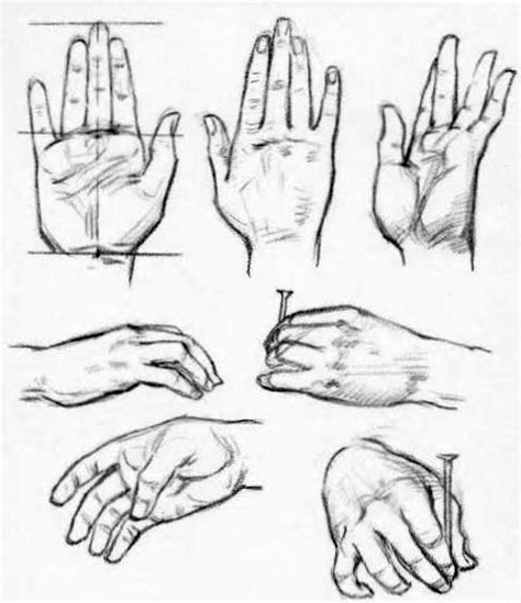 How to Draw Hands - Reference Sheets and Guides to Drawing Hands - How ...