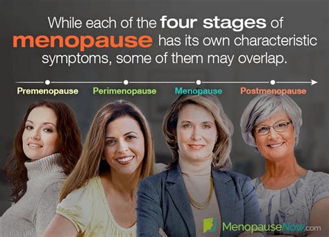 The Four Stages of Menopause and Their Symptoms | Menopause Now