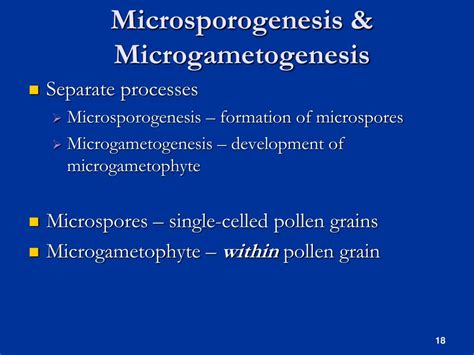 PPT - Angiosperms PowerPoint Presentation, free download - ID:1720023